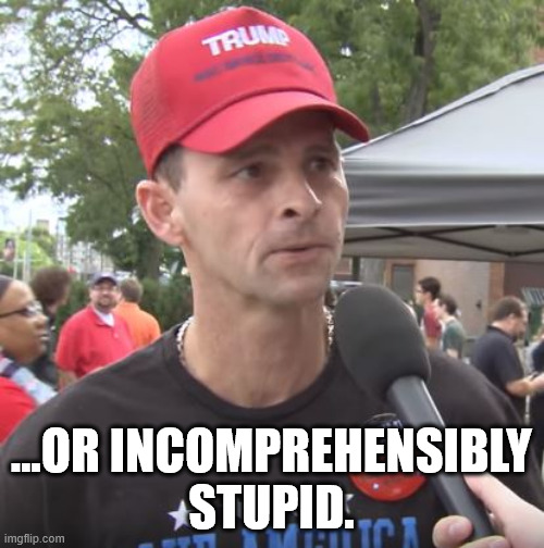 Trump supporter | ...OR INCOMPREHENSIBLY
STUPID. | image tagged in trump supporter | made w/ Imgflip meme maker
