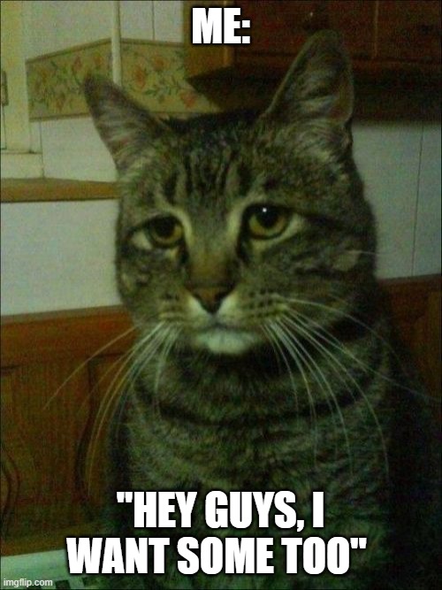 Depressed Cat Meme | ME: "HEY GUYS, I WANT SOME TOO" | image tagged in memes,depressed cat | made w/ Imgflip meme maker