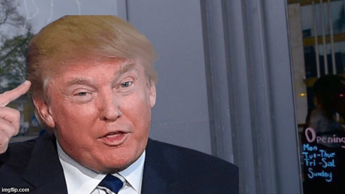 Roll Trump think about it | image tagged in roll trump think about it | made w/ Imgflip meme maker