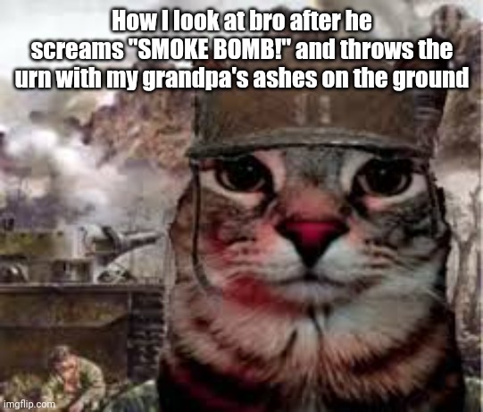 SMOKE BOMB! (Dark Humour) | How I look at bro after he screams "SMOKE BOMB!" and throws the urn with my grandpa's ashes on the ground | image tagged in soldier cat | made w/ Imgflip meme maker