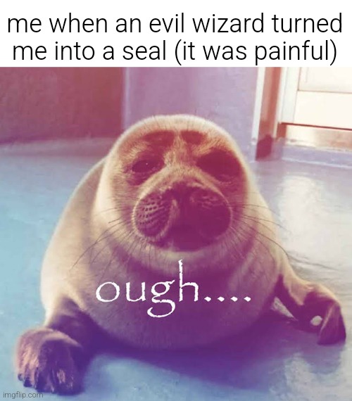 ough…. | me when an evil wizard turned me into a seal (it was painful) | image tagged in ough | made w/ Imgflip meme maker