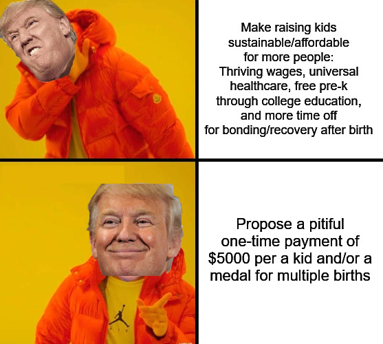 Kids cost more than $5000 | Make raising kids sustainable/affordable for more people:
Thriving wages, universal healthcare, free pre-k through college education, and more time off for bonding/recovery after birth; Propose a pitiful one-time payment of $5000 per a kid and/or a medal for multiple births | image tagged in trump drake,birth rate,current events | made w/ Imgflip meme maker