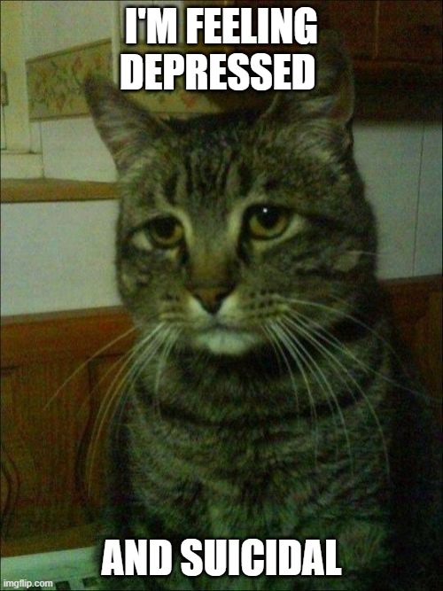 Depressed Cat | I'M FEELING DEPRESSED; AND SUICIDAL | image tagged in memes,depressed cat | made w/ Imgflip meme maker