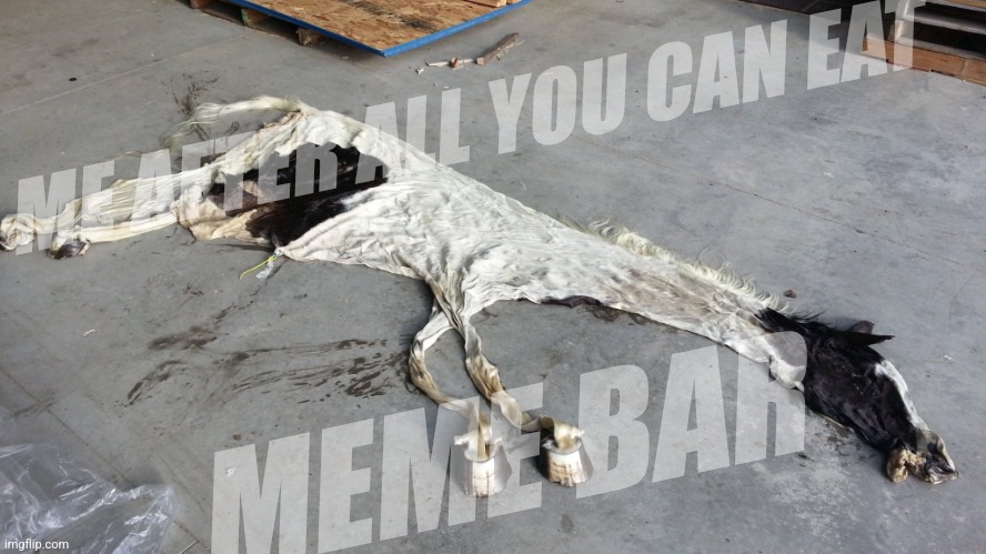 Deflated horse | ME AFTER ALL YOU CAN EAT MEME BAR | image tagged in deflated horse | made w/ Imgflip meme maker