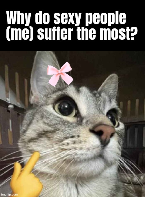 Mewing Cat | Why do sexy people (me) suffer the most? | image tagged in mewing cat | made w/ Imgflip meme maker