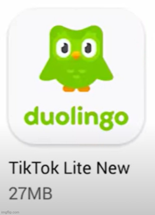 TikTok Lite New | image tagged in tiktok lite new | made w/ Imgflip meme maker