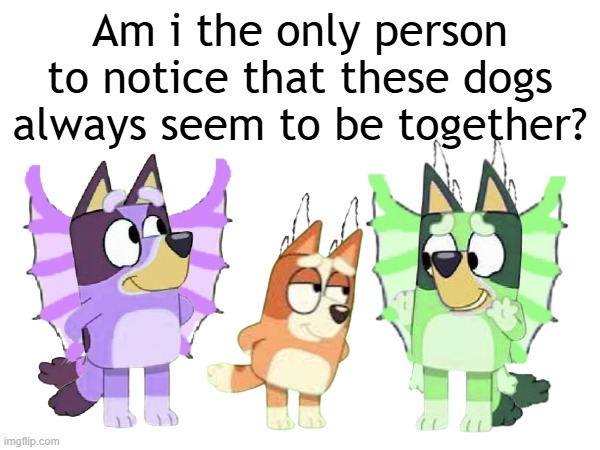 there's a secret family hidden in dogoventures | Am i the only person to notice that these dogs always seem to be together? | made w/ Imgflip meme maker