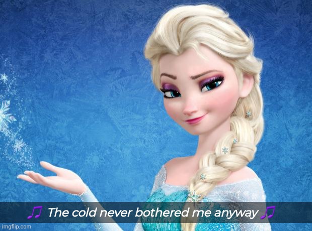 Elsa Frozen | ?  The cold never bothered me anyway ? | image tagged in elsa frozen | made w/ Imgflip meme maker