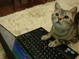 Kat Hacker Blank Meme Template