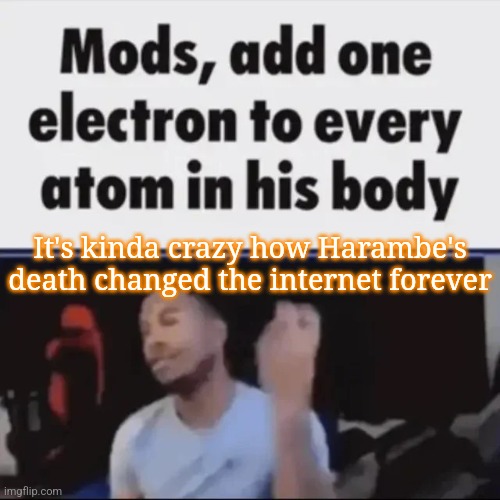 Yes, I know there's other shit that happened. | It's kinda crazy how Harambe's death changed the internet forever | image tagged in mods add one electron to every atom in his body,msmg,memes | made w/ Imgflip meme maker