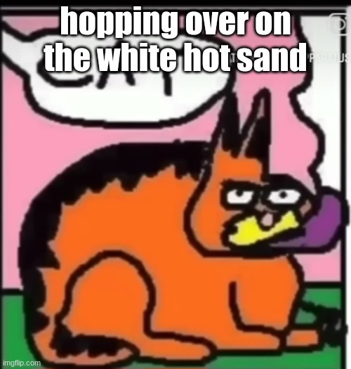 CAT | hopping over on the white hot sand | image tagged in cat | made w/ Imgflip meme maker