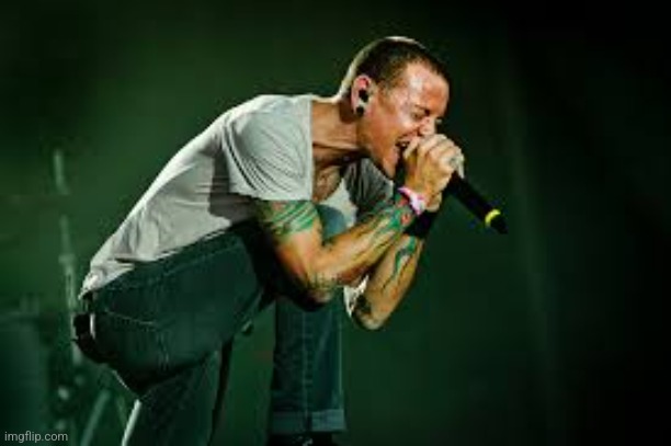 chester linkin park | image tagged in chester linkin park | made w/ Imgflip meme maker