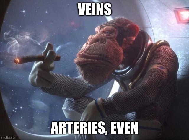 Space monkey smoking cigar | VEINS; ARTERIES, EVEN | image tagged in space monkey smoking cigar | made w/ Imgflip meme maker