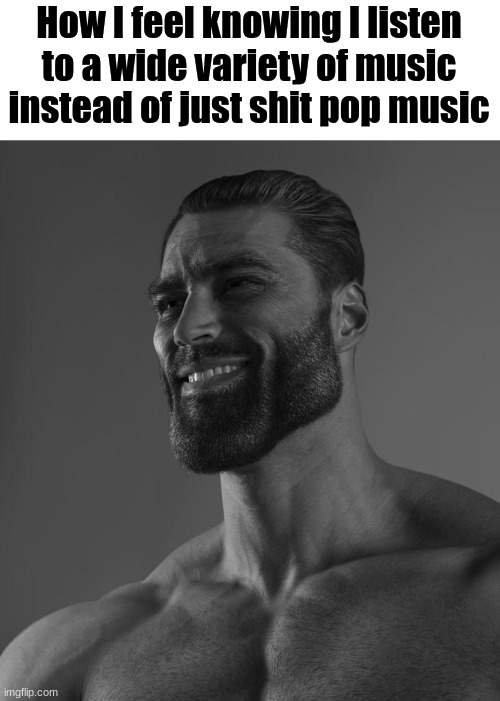 Sigma Male | How I feel knowing I listen to a wide variety of music instead of just shit pop music | image tagged in sigma male | made w/ Imgflip meme maker