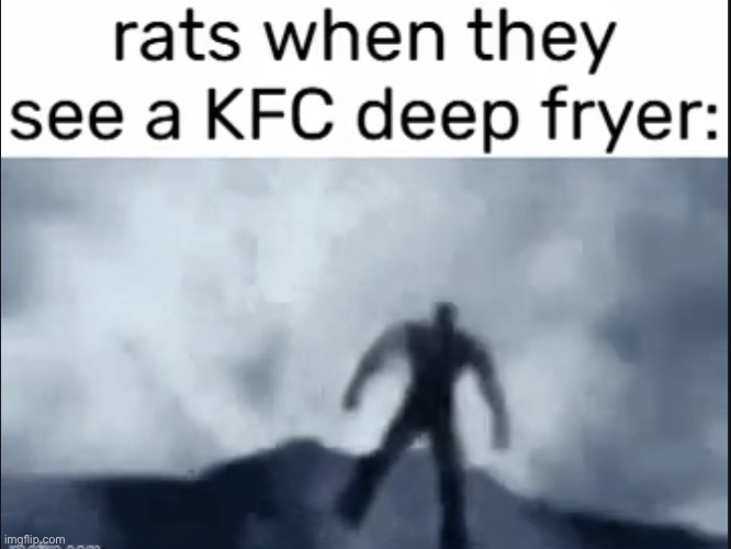 image tagged in rats | made w/ Imgflip meme maker