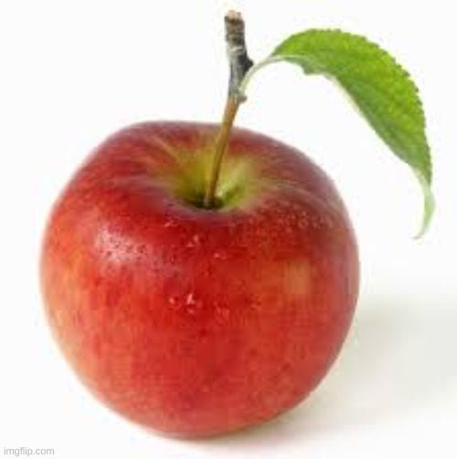 apple | made w/ Imgflip meme maker