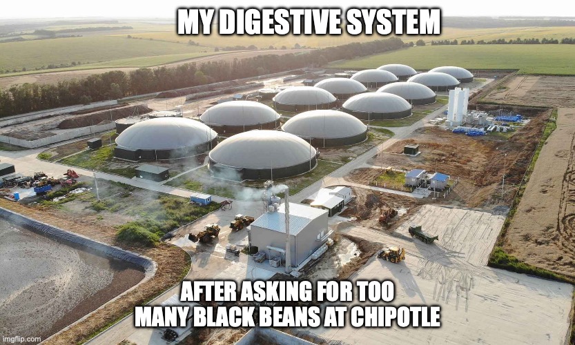 Chipotle making me gassy | MY DIGESTIVE SYSTEM; AFTER ASKING FOR TOO MANY BLACK BEANS AT CHIPOTLE | image tagged in fart,energy,relatable | made w/ Imgflip meme maker