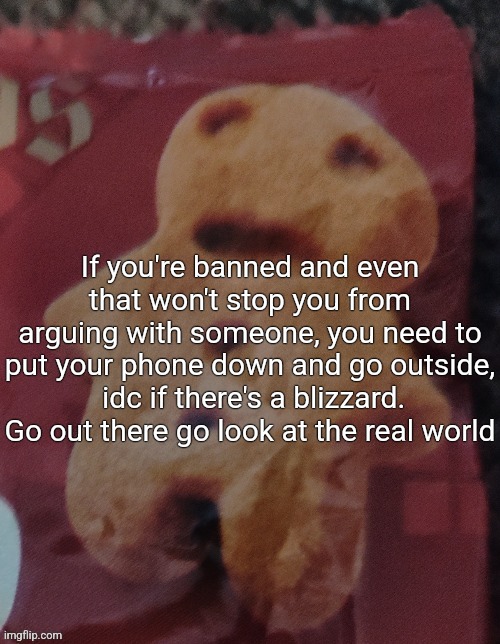 Cookie | If you're banned and even that won't stop you from arguing with someone, you need to put your phone down and go outside,  idc if there's a blizzard. Go out there go look at the real world | image tagged in cookie | made w/ Imgflip meme maker