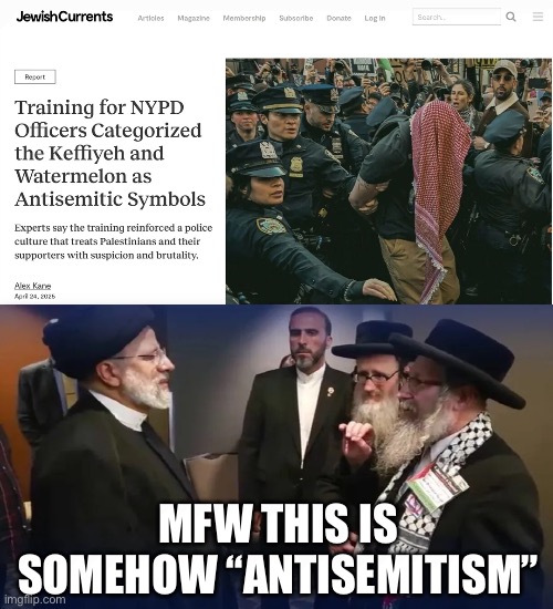 Good to know that cops are protecting Jewish people… from… themselves? | MFW THIS IS SOMEHOW “ANTISEMITISM” | made w/ Imgflip meme maker
