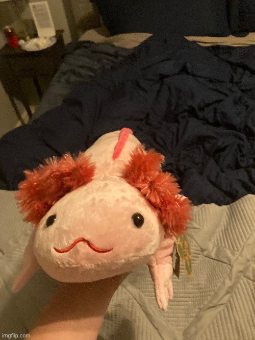 Forgor to post, I got an axolotl plush. What should I name it? (Fr answers, no brainrot) | made w/ Imgflip meme maker