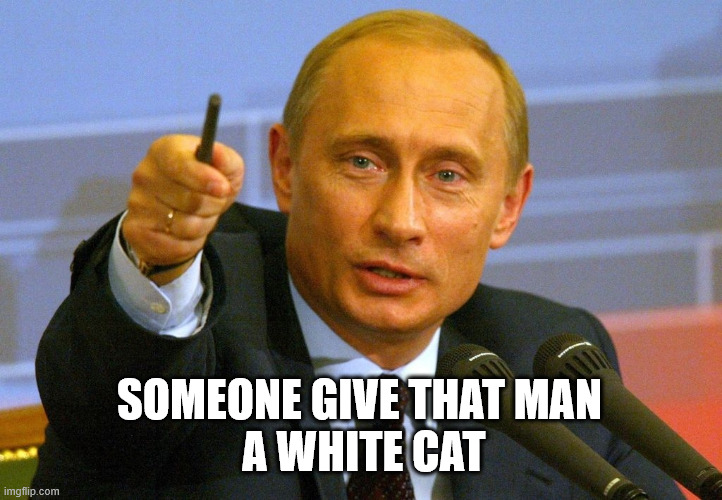 Someone give that man a white cat | SOMEONE GIVE THAT MAN
 A WHITE CAT | image tagged in somebody give that man a medal | made w/ Imgflip meme maker