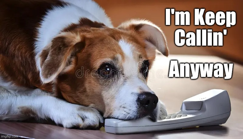 Dog Keep Callin' | I'm Keep Callin'; Anyway | image tagged in dog calling,keep calling | made w/ Imgflip meme maker