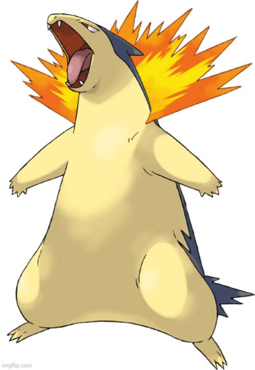 Remember when Typhlosion was exposed | image tagged in typhlosion | made w/ Imgflip meme maker