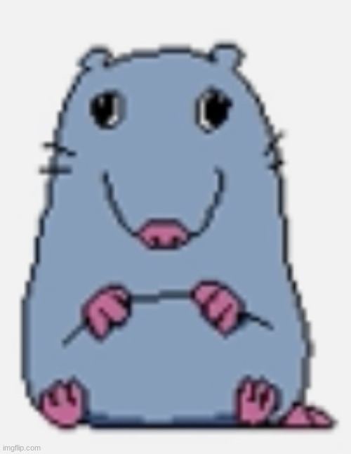 Stupid rat | image tagged in stupid rat | made w/ Imgflip meme maker