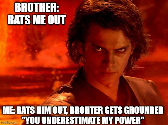 You Underestimate My Power | BROTHER: RATS ME OUT; ME: RATS HIM OUT, BROHTER GETS GROUNDED
"YOU UNDERESTIMATE MY POWER" | image tagged in memes,you underestimate my power | made w/ Imgflip meme maker