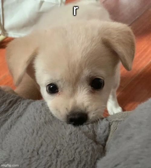 hi | r | image tagged in hi | made w/ Imgflip meme maker