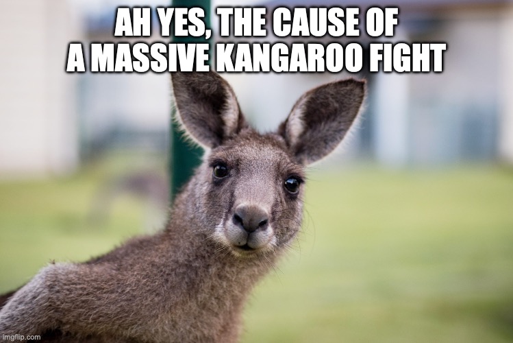 AH YES, THE CAUSE OF A MASSIVE KANGAROO FIGHT | made w/ Imgflip meme maker