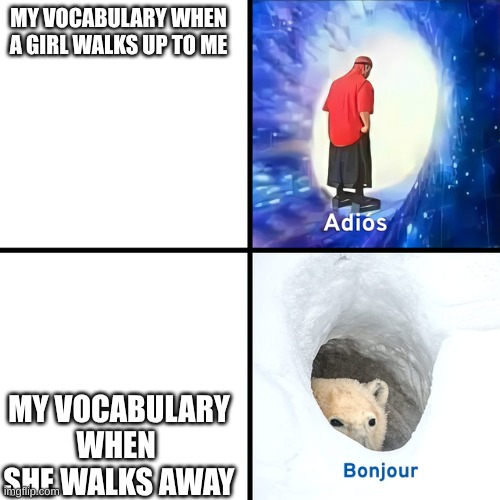 Adios Bonjour | MY VOCABULARY WHEN A GIRL WALKS UP TO ME; MY VOCABULARY WHEN  SHE WALKS AWAY | image tagged in adios bonjour | made w/ Imgflip meme maker