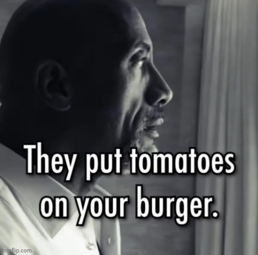 They put tomatoes on your burger | image tagged in they put tomatoes on your burger | made w/ Imgflip meme maker