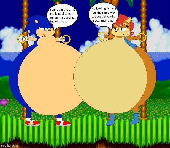THP Sonic fat (Why did I do this) | image tagged in thp sonic fat why did i do this | made w/ Imgflip meme maker