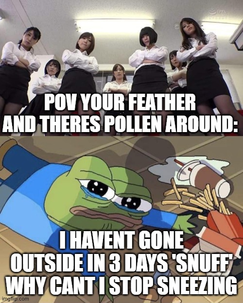 Bullied pepe | POV YOUR FEATHER AND THERES POLLEN AROUND:; I HAVENT GONE OUTSIDE IN 3 DAYS 'SNUFF' WHY CANT I STOP SNEEZING | image tagged in bullied pepe | made w/ Imgflip meme maker