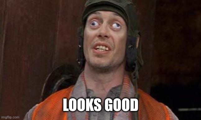 Looks Good To Me | LOOKS GOOD | image tagged in looks good to me | made w/ Imgflip meme maker