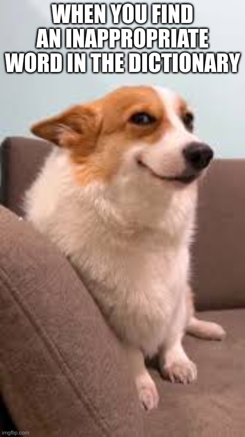 funny dictionary meme | WHEN YOU FIND AN INAPPROPRIATE
WORD IN THE DICTIONARY | image tagged in funny memes,dictionary | made w/ Imgflip meme maker