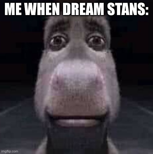 Dear god what is this madness that we have descended to? | ME WHEN DREAM STANS: | image tagged in donkey staring,me when | made w/ Imgflip meme maker