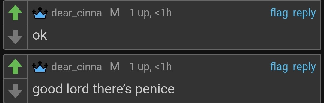 good lord there's penice | image tagged in good lord there's penice | made w/ Imgflip meme maker