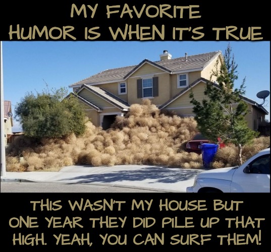 MY FAVORITE HUMOR IS WHEN IT'S TRUE THIS WASN'T MY HOUSE BUT ONE YEAR THEY DID PILE UP THAT HIGH. YEAH, YOU CAN SURF THEM! | made w/ Imgflip meme maker