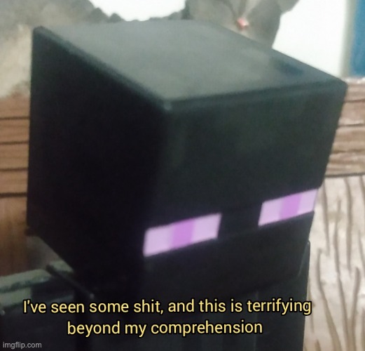 Enderman is scared beyond comprehension | image tagged in enderman is scared beyond comprehension | made w/ Imgflip meme maker