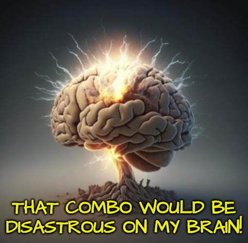 Brain on overdrive | THAT COMBO WOULD BE DISASTROUS ON MY BRAIN! | image tagged in brain on overdrive | made w/ Imgflip meme maker
