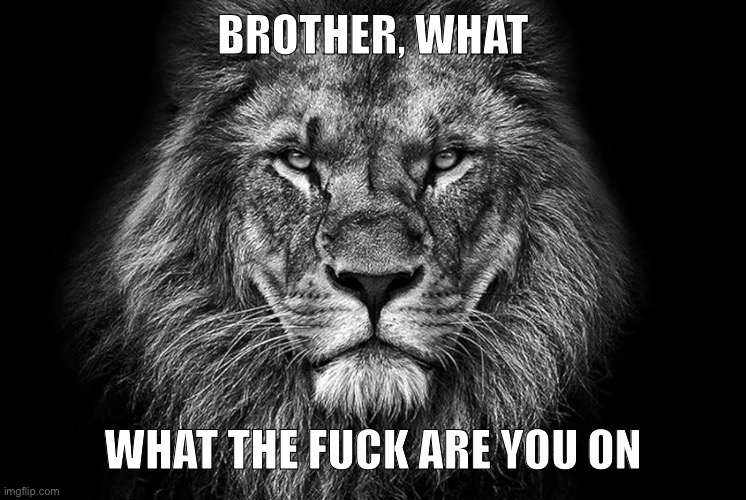 Black and White Lion | BROTHER, WHAT; WHAT THE FUCK ARE YOU ON | image tagged in black and white lion | made w/ Imgflip meme maker