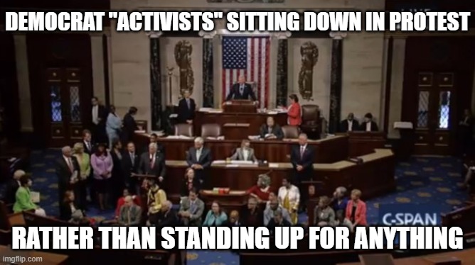 Democrat Sit In | DEMOCRAT "ACTIVISTS" SITTING DOWN IN PROTEST RATHER THAN STANDING UP FOR ANYTHING | image tagged in democrat sit in | made w/ Imgflip meme maker