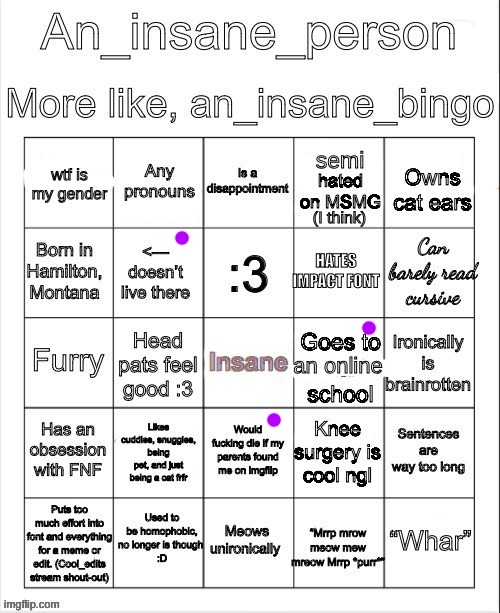 an insane bingo (April 2025) | image tagged in an insane bingo april 2025 | made w/ Imgflip meme maker