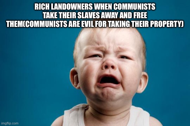 BABY CRYING | RICH LANDOWNERS WHEN COMMUNISTS TAKE THEIR SLAVES AWAY AND FREE THEM(COMMUNISTS ARE EVIL FOR TAKING THEIR PROPERTY) | image tagged in baby crying | made w/ Imgflip meme maker
