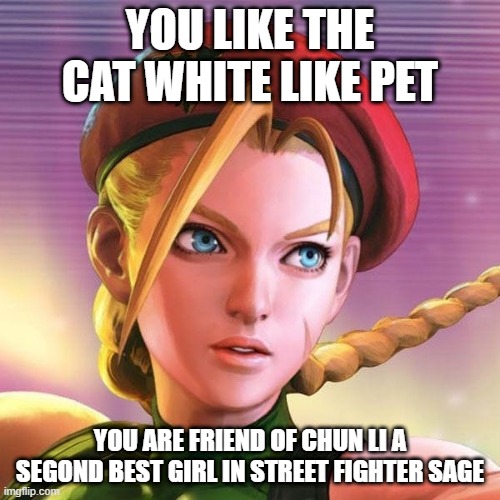 the second character of street fighters saga and codename Killer Bee | YOU LIKE THE CAT WHITE LIKE PET; YOU ARE FRIEND OF CHUN LI A SEGOND BEST GIRL IN STREET FIGHTER SAGE | image tagged in cammy,popular,young woman,british | made w/ Imgflip meme maker