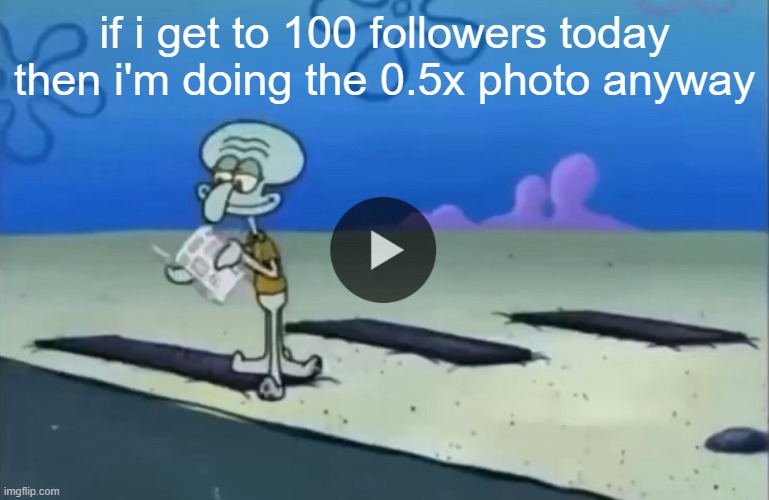 mood | if i get to 100 followers today then i'm doing the 0.5x photo anyway | image tagged in mood | made w/ Imgflip meme maker