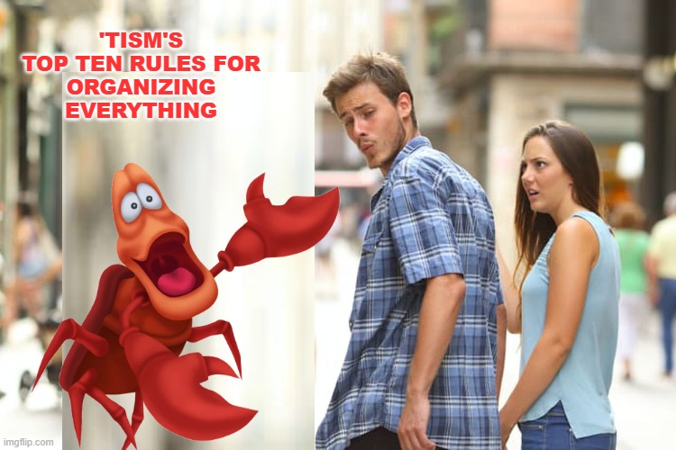 Distracted Boyfriend Meme | 'TISM'S TOP TEN RULES FOR
ORGANIZING EVERYTHING | image tagged in memes,distracted boyfriend | made w/ Imgflip meme maker