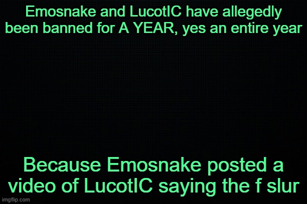 a year is wild | Emosnake and LucotIC have allegedly been banned for A YEAR, yes an entire year; Because Emosnake posted a video of LucotIC saying the f slur | image tagged in the black | made w/ Imgflip meme maker